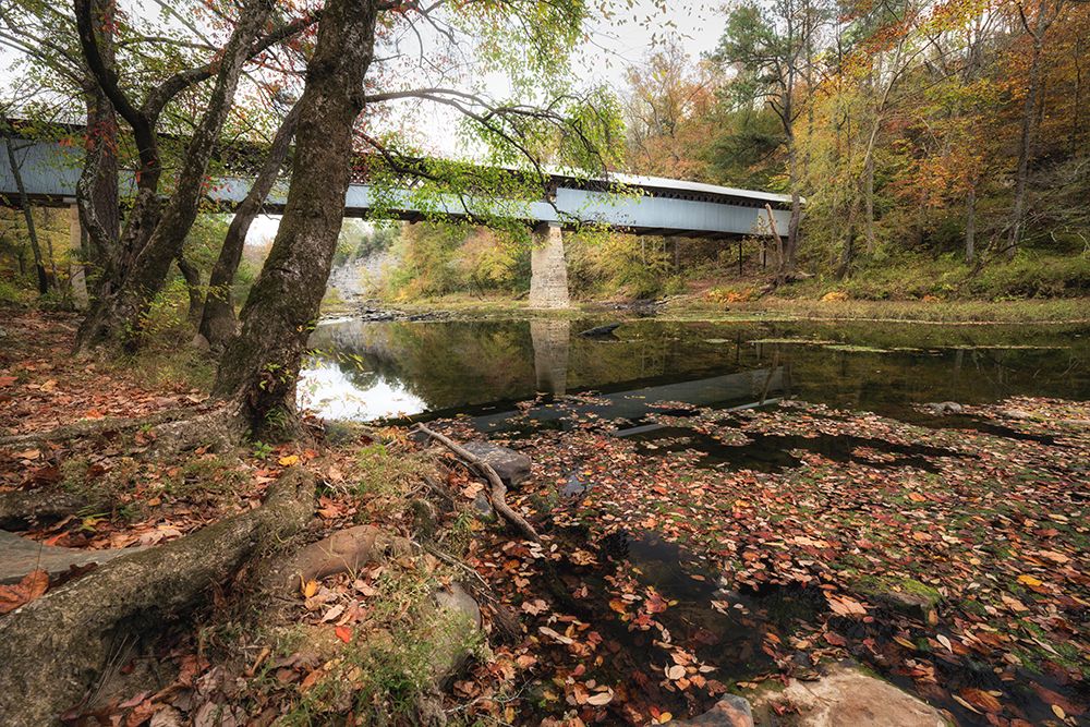 Locust Fork art print by Danny Head for $57.95 CAD