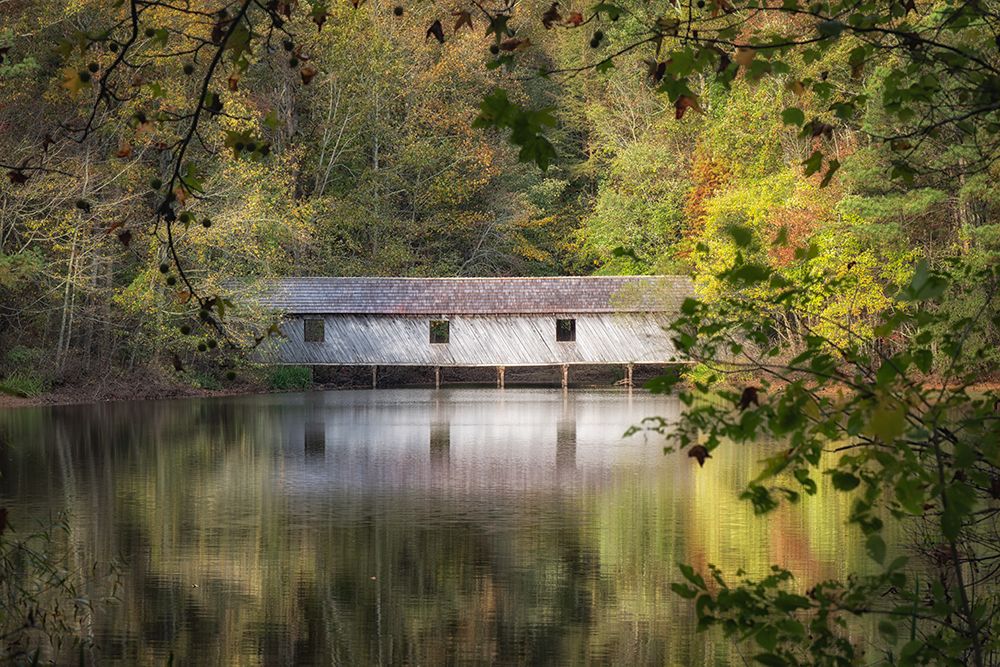 Late Summer art print by Danny Head for $57.95 CAD