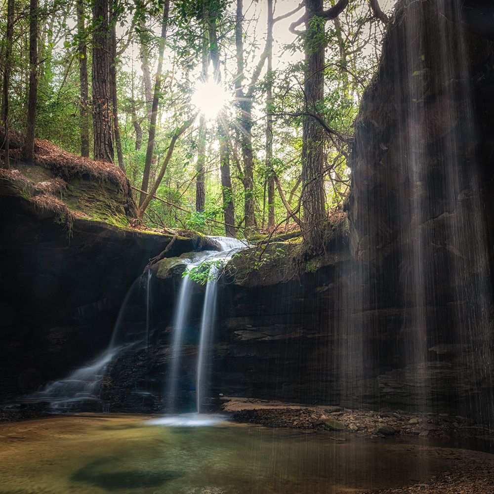 Wilderness Falls I art print by Danny Head for $57.95 CAD