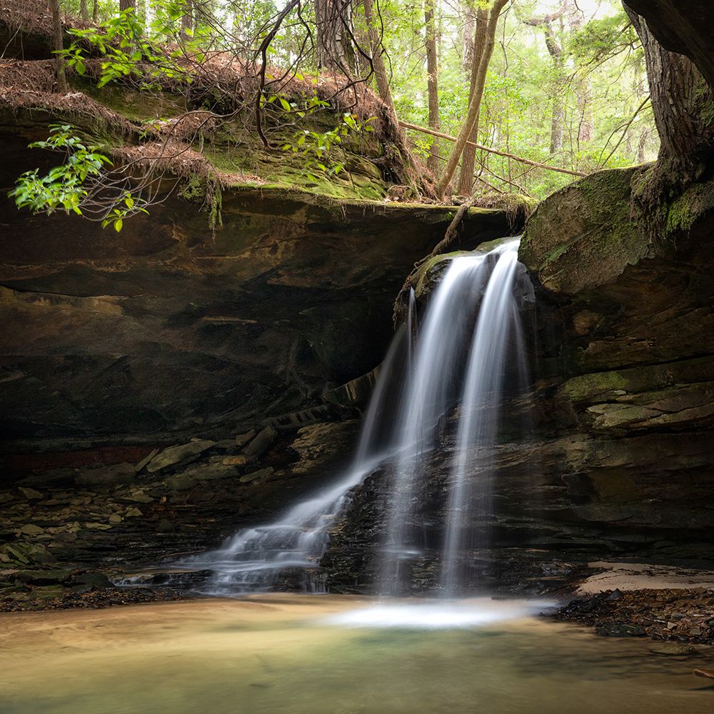 Wilderness Falls II art print by Danny Head for $57.95 CAD