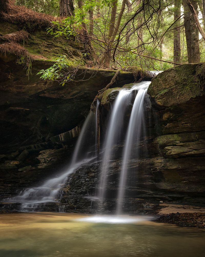 Wilderness falls III art print by Danny Head for $57.95 CAD