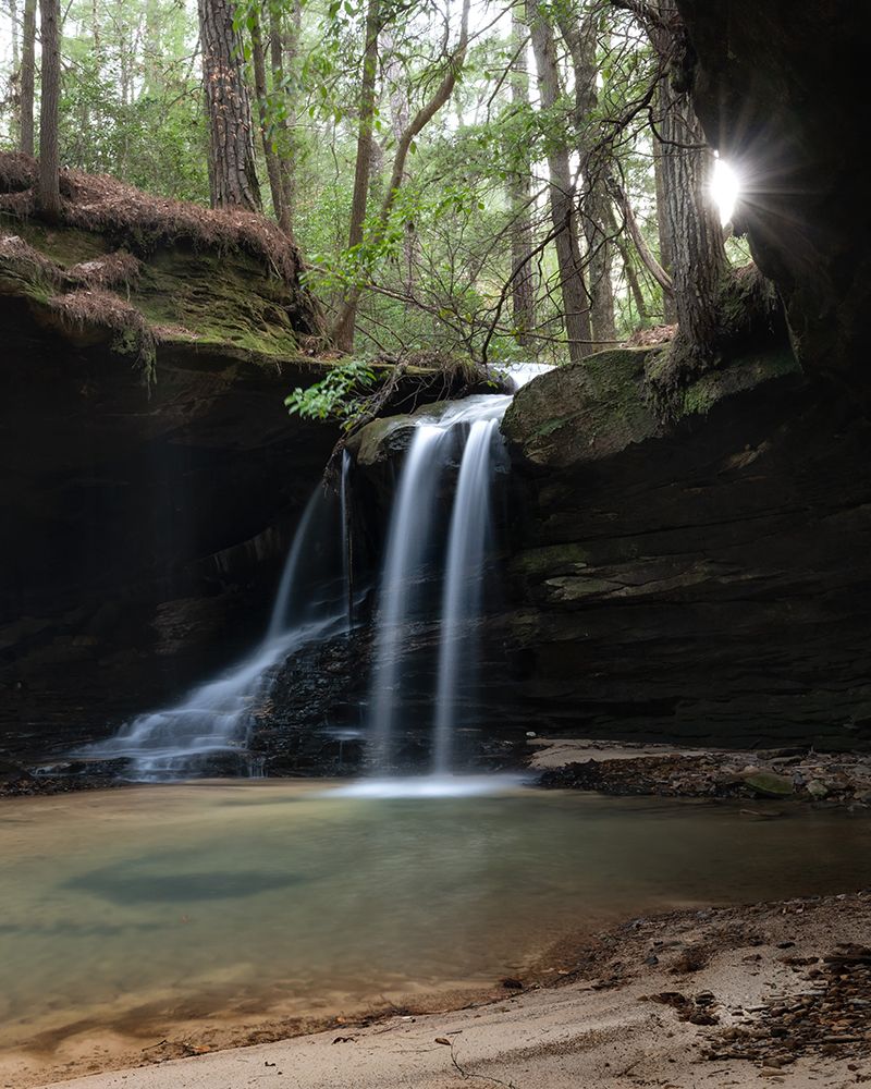 Wilderness Falls IV art print by Danny Head for $57.95 CAD