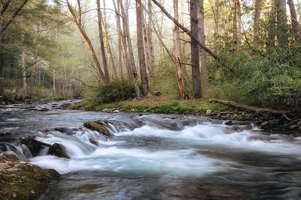 Peaceful Feeling I art print by Danny Head for $57.95 CAD