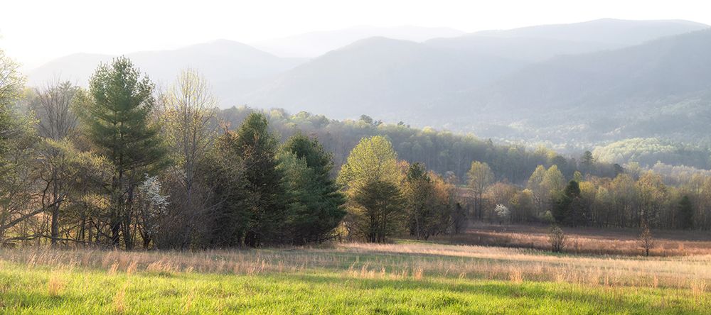 Cades Cove Panorma art print by Danny Head for $57.95 CAD