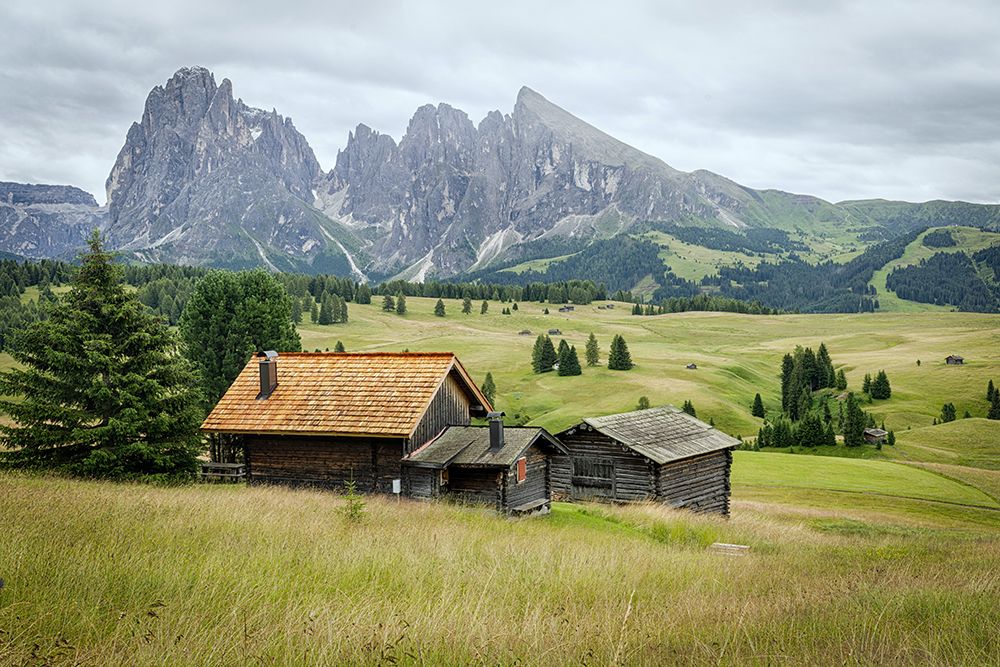 Alpine Meadow I art print by Danny Head for $57.95 CAD
