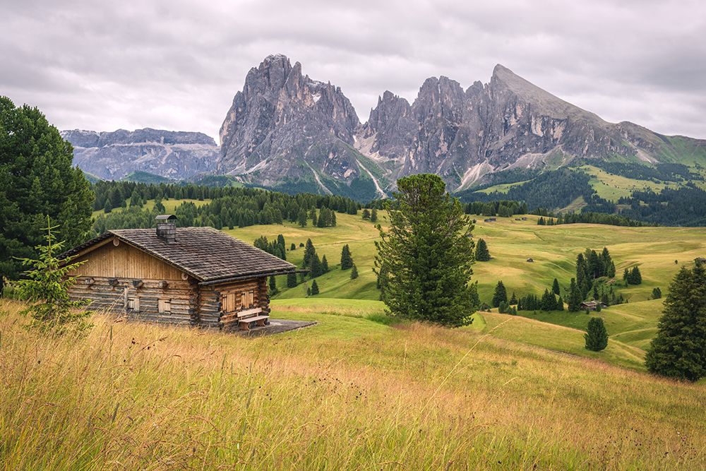 Alpine Meadow II art print by Danny Head for $57.95 CAD