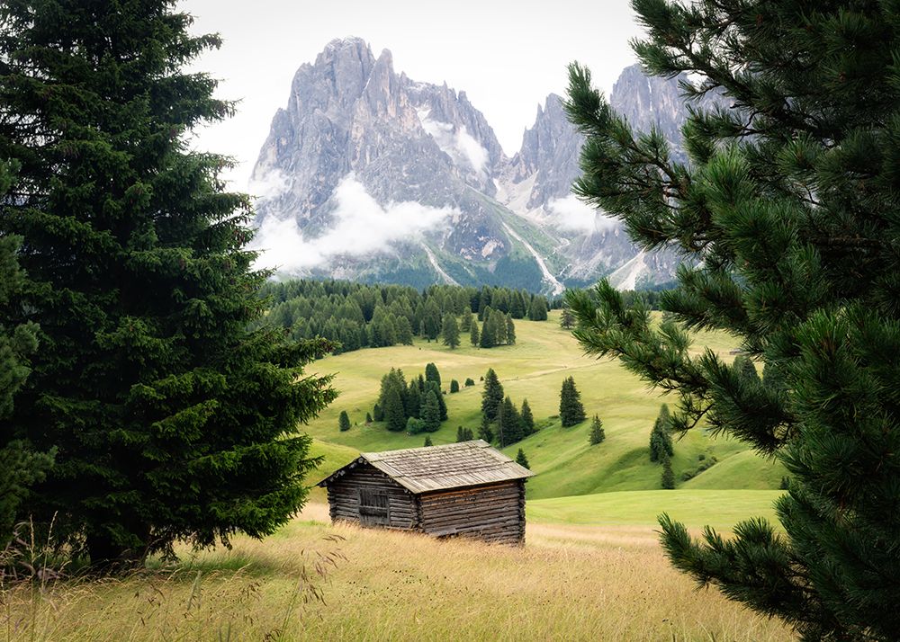 Alpine Meadow III art print by Danny Head for $57.95 CAD