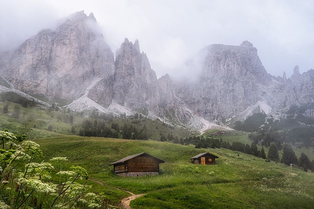 Alpine Mist art print by Danny Head for $57.95 CAD
