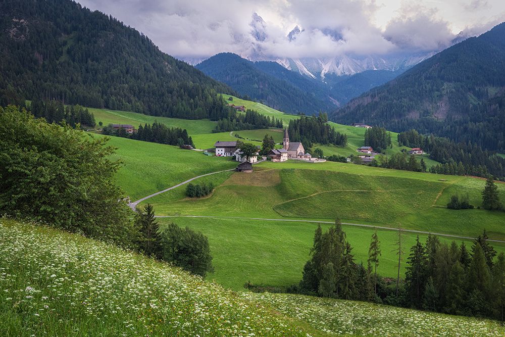 Alpine View art print by Danny Head for $57.95 CAD