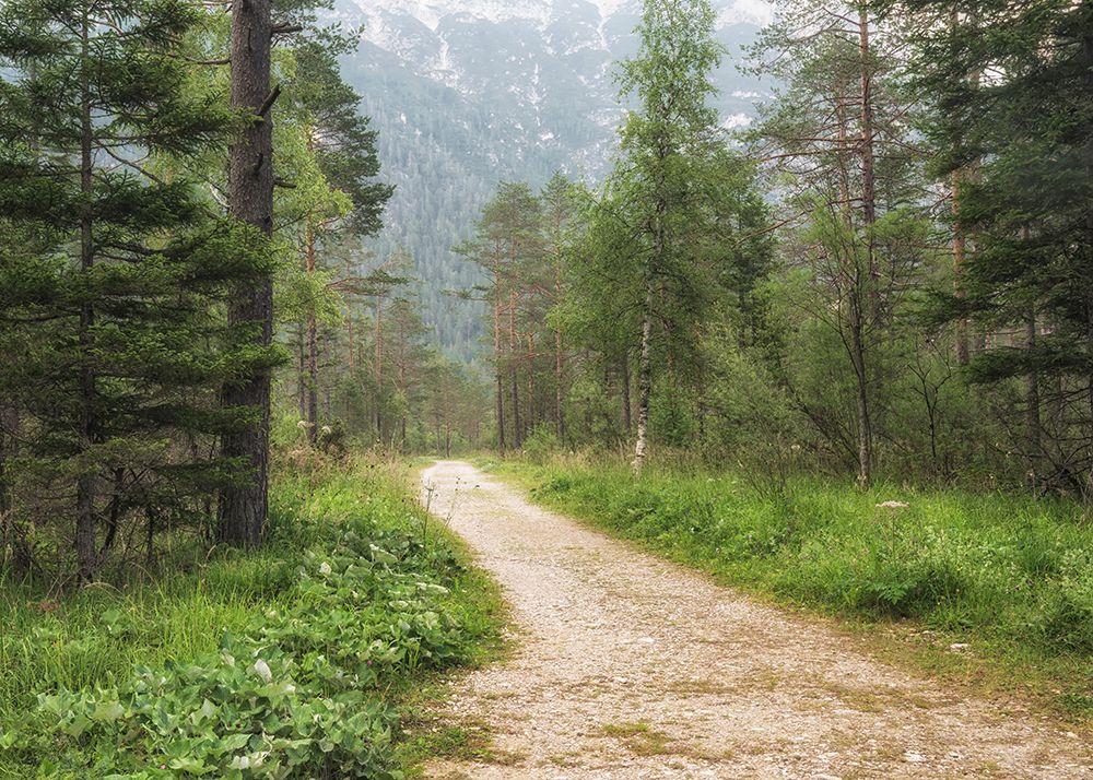 Forgotten Path art print by Danny Head for $57.95 CAD