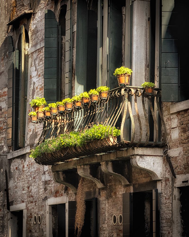 Balcony Flowers art print by Danny Head for $57.95 CAD