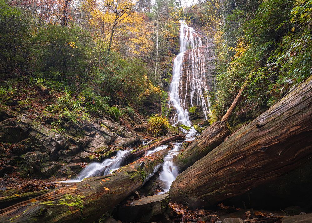 Mingo Falls I art print by Danny Head for $57.95 CAD