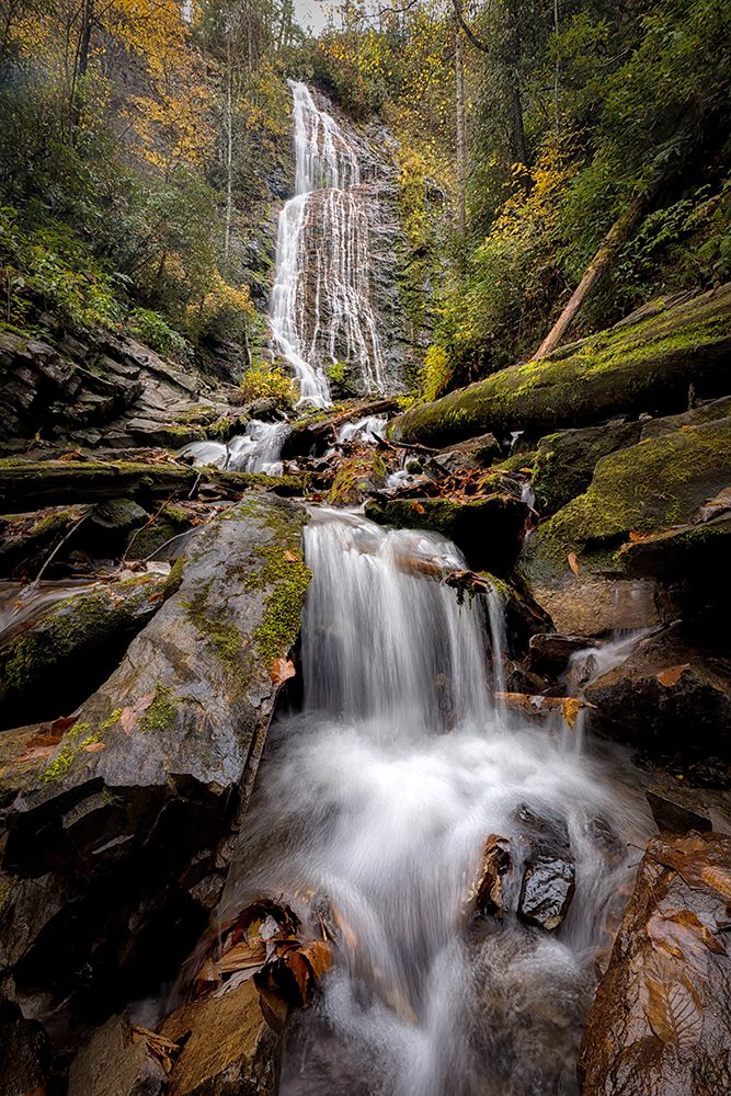 Mingo Falls III art print by Danny Head for $57.95 CAD