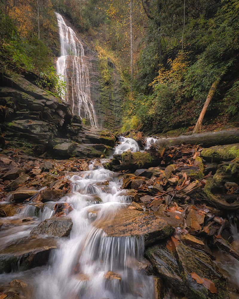 Mingo Falls IV art print by Danny Head for $57.95 CAD