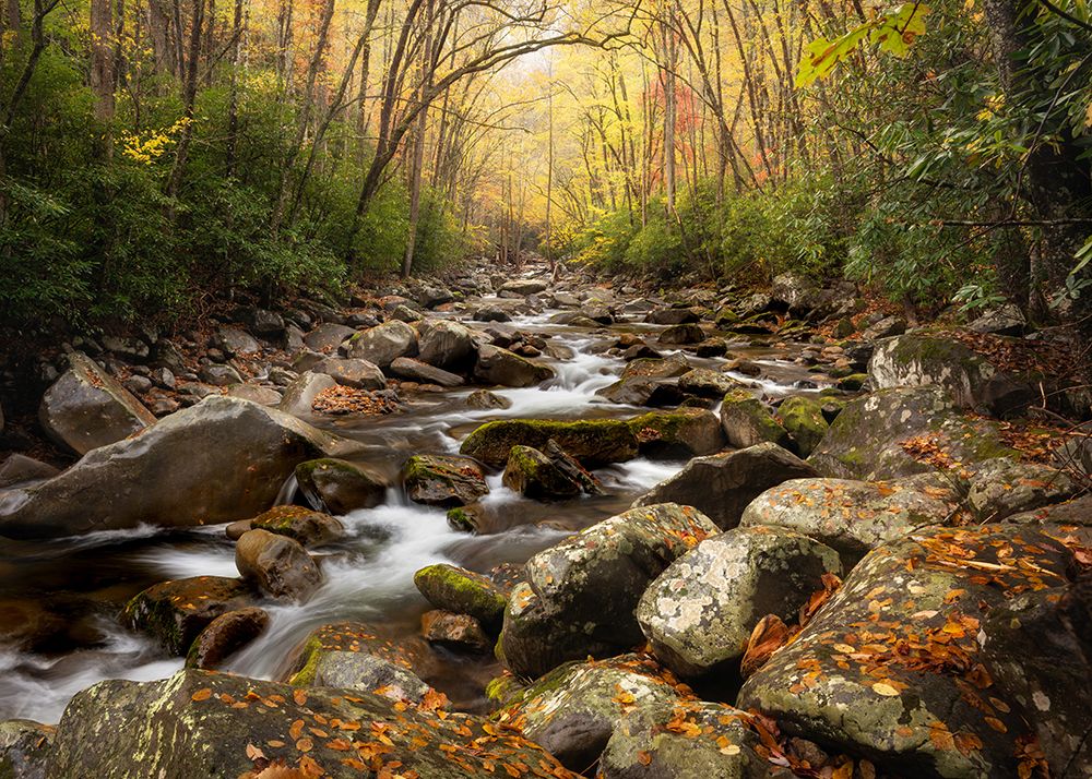 Low Flow I art print by Danny Head for $57.95 CAD