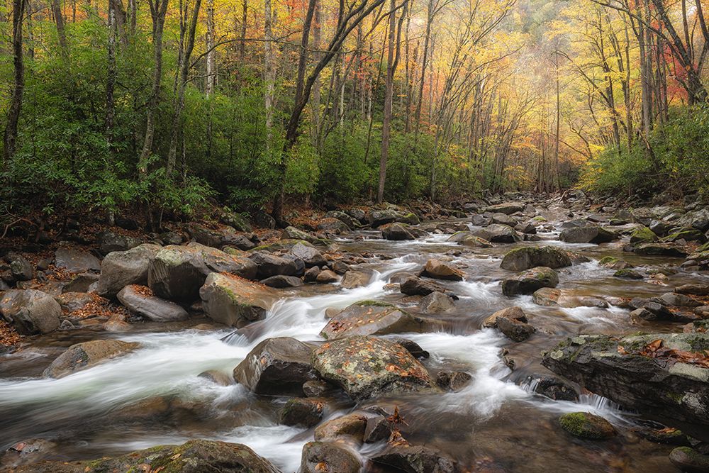 Low Flow II art print by Danny Head for $57.95 CAD