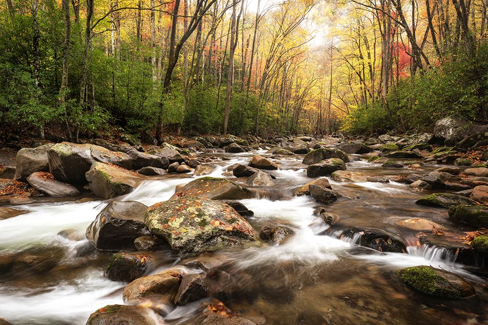 Low Flow III art print by Danny Head for $57.95 CAD