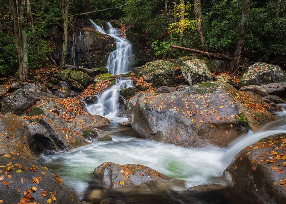 Mouse Creek Morning art print by Danny Head for $57.95 CAD