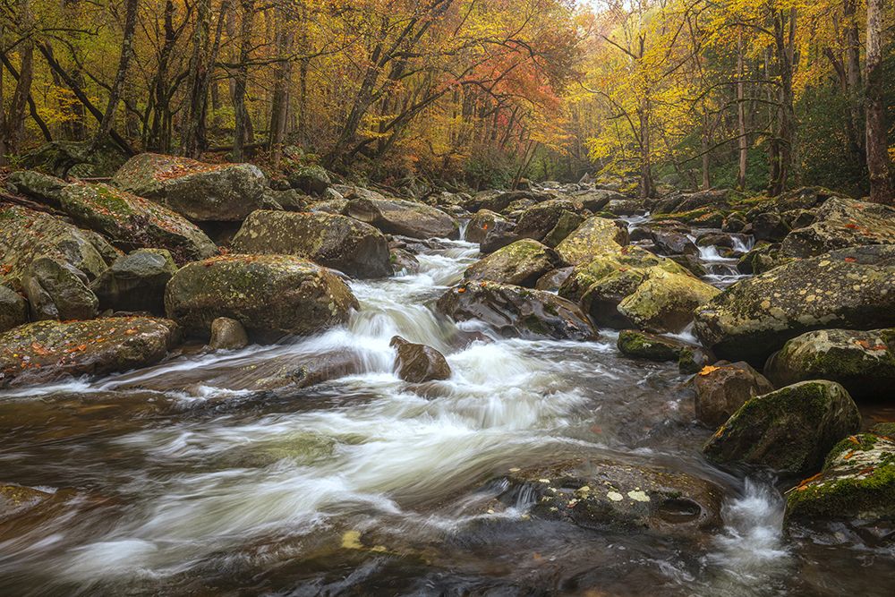 Upper Greenbrier I art print by Danny Head for $57.95 CAD