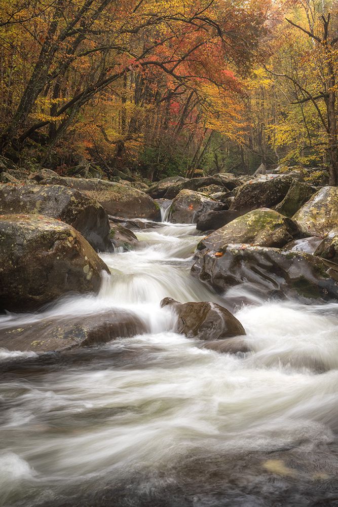 Upper Greenbrier III art print by Danny Head for $57.95 CAD