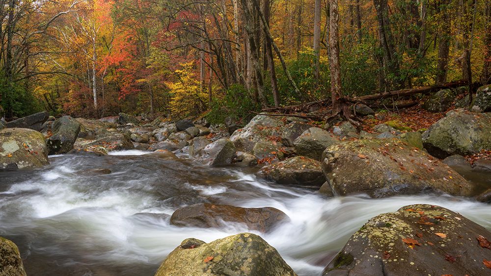 Upper Greenbrier IV art print by Danny Head for $57.95 CAD