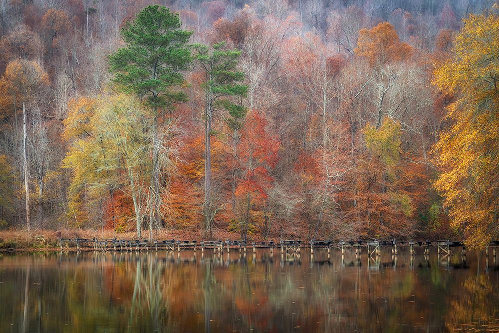Colors of Autumn art print by Danny Head for $57.95 CAD