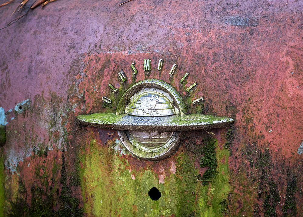 Rust and Algae art print by Danny Head for $57.95 CAD