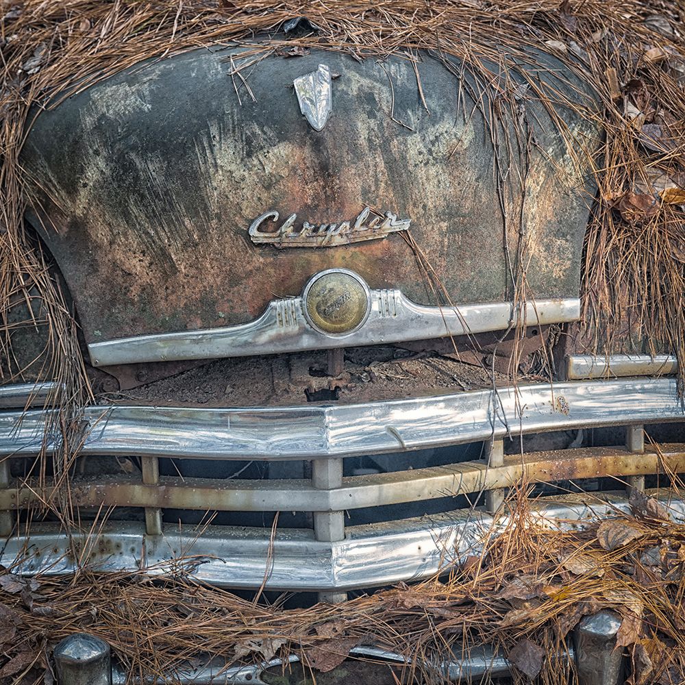 Almost Covered art print by Danny Head for $57.95 CAD