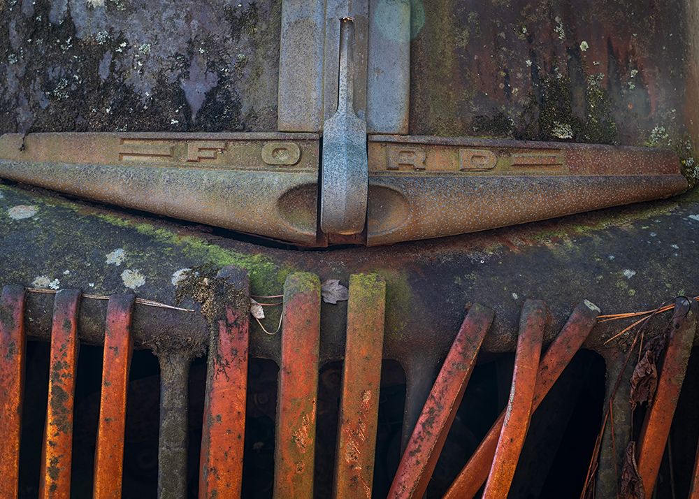 Orange Grill art print by Danny Head for $57.95 CAD