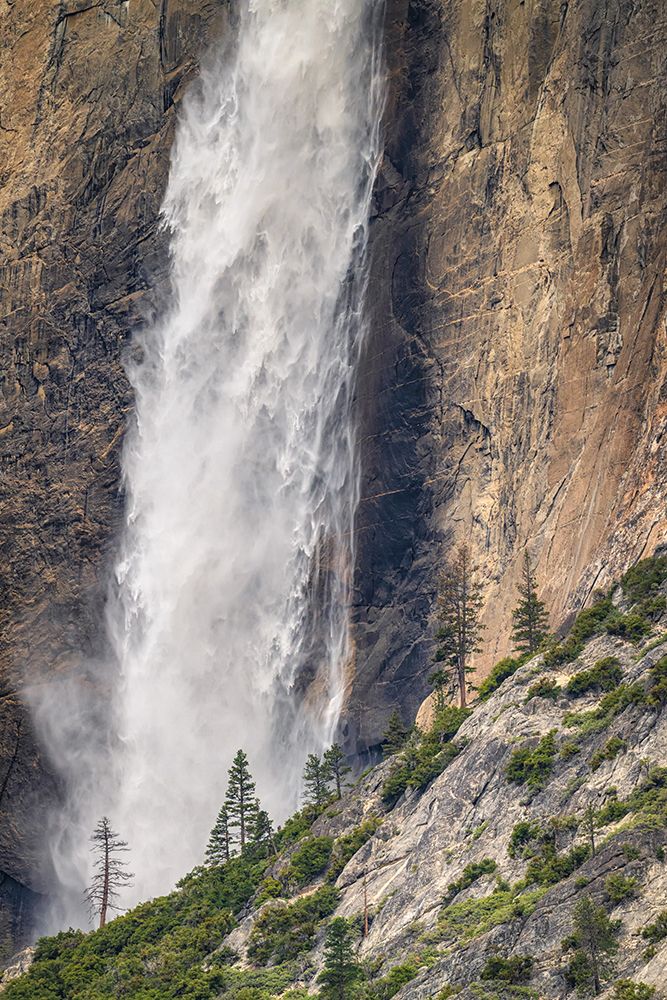Dwarfed art print by Danny Head for $57.95 CAD
