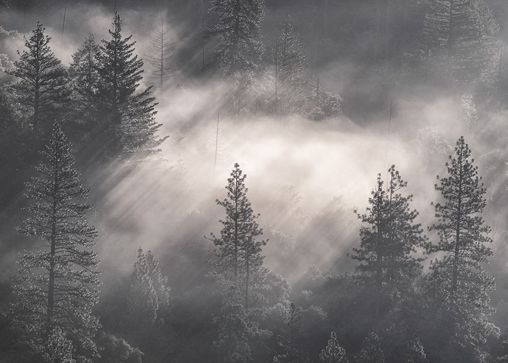 Filtered Light art print by Danny Head for $57.95 CAD