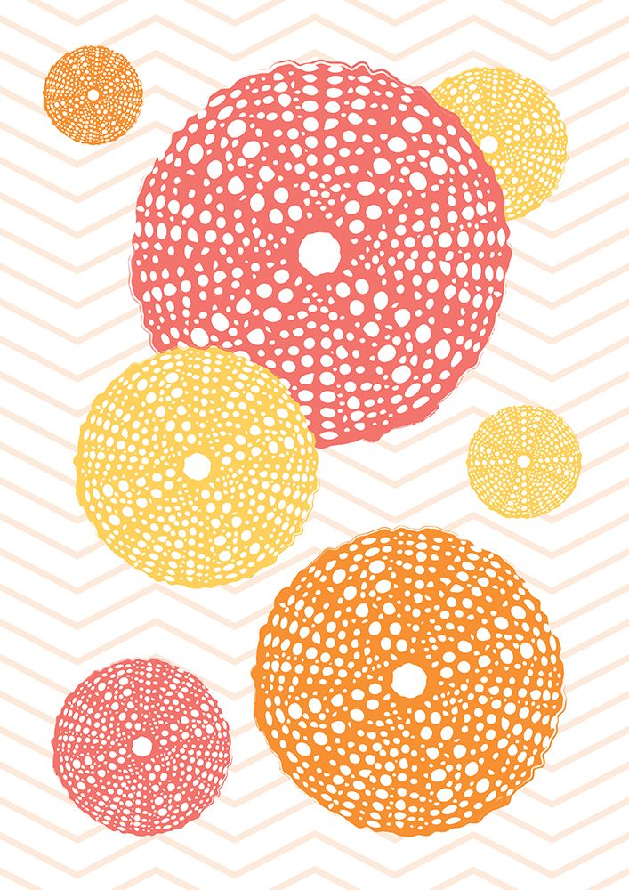 Orange Urchins art print by Aesthete for $57.95 CAD