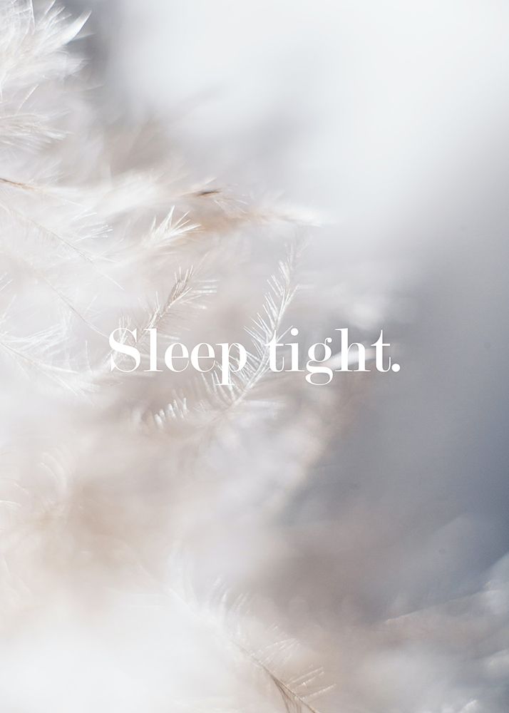 Sleep Tight Feathers art print by Suki Mi for $57.95 CAD