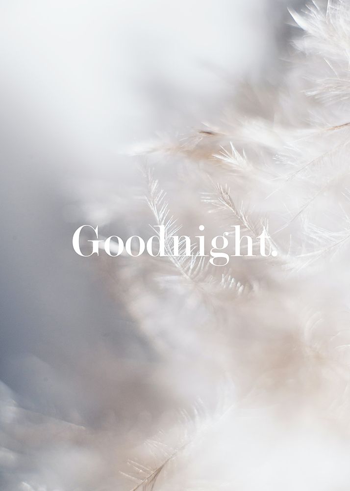Goodnight Feathers art print by Suki Mi for $57.95 CAD