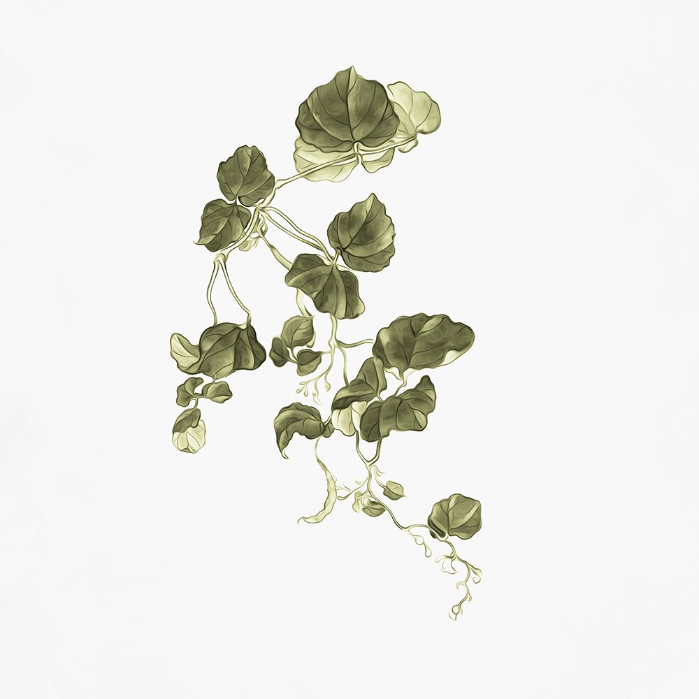 Leaves In Autumn Green 2 art print by Adebowale for $57.95 CAD