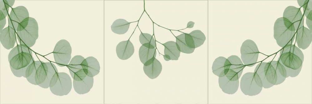 Leaf Triple in Green 2 art print by Albert Koetsier for $57.95 CAD