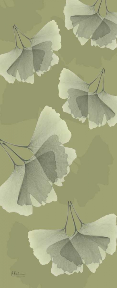 Green on Green Ginko art print by Albert Koetsier for $57.95 CAD