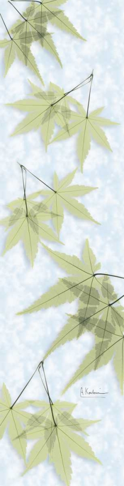 Green on Green Maple art print by Albert Koetsier for $57.95 CAD