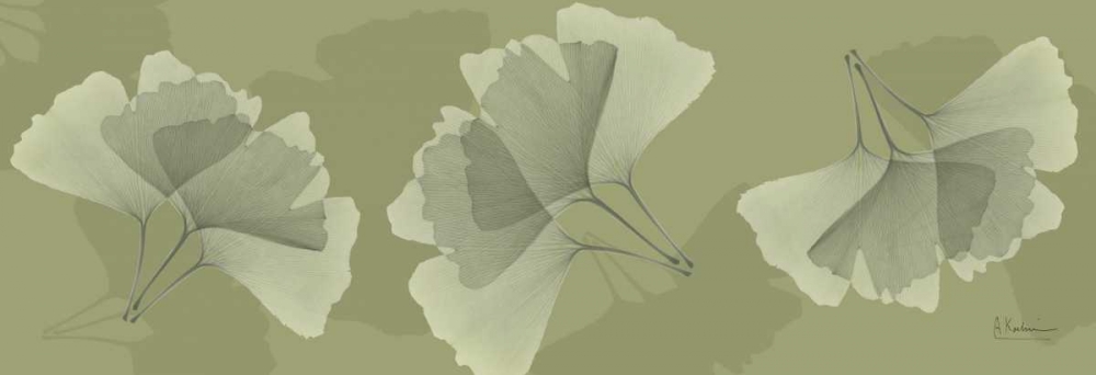 Leaves on Green 2 art print by Albert Koetsier for $57.95 CAD
