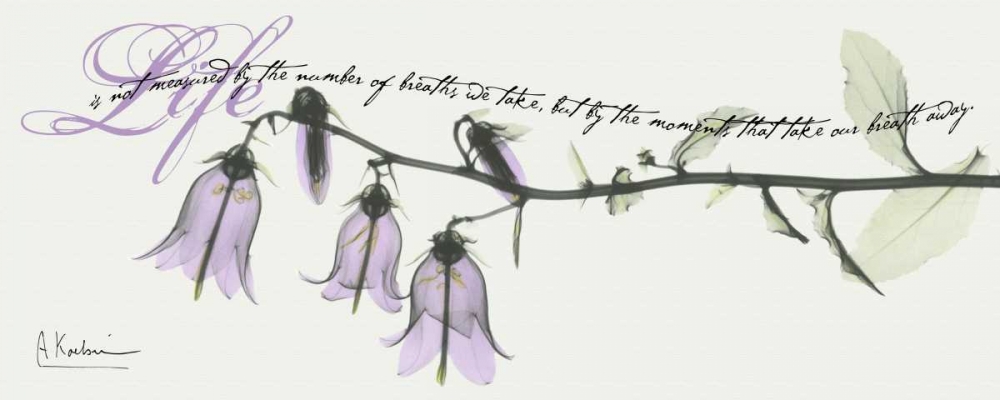Campanula Life art print by Albert Koetsier for $57.95 CAD
