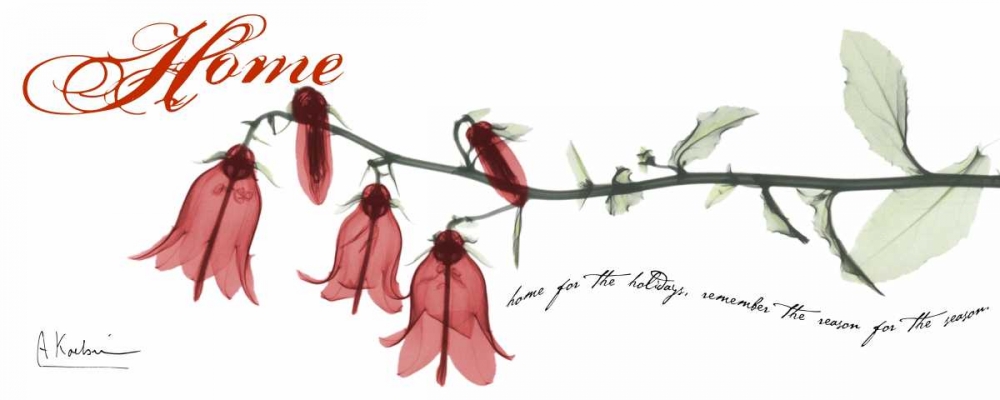 Campanula  Home art print by Albert Koetsier for $57.95 CAD