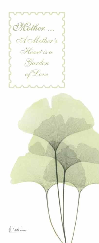 Ginkgo - Mother art print by Albert Koetsier for $57.95 CAD