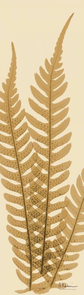Tree Fern Brown on Beige art print by Albert Koetsier for $57.95 CAD