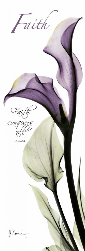 Calla Lily in Purple - Faith art print by Albert Koetsier for $57.95 CAD