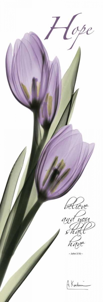 Tulips in Purple - Hope art print by Albert Koetsier for $57.95 CAD