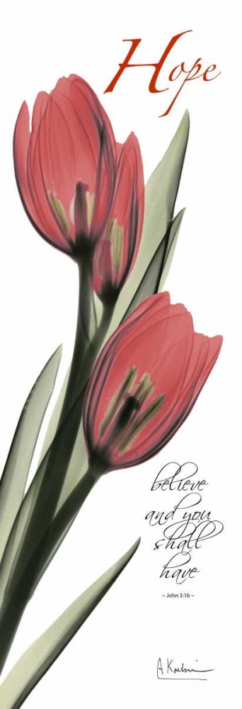 Tulips in Red  - Hope art print by Albert Koetsier for $57.95 CAD