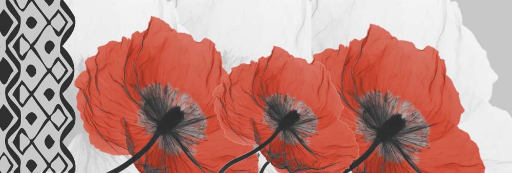 Poppies L167 art print by Albert Koetsier for $57.95 CAD