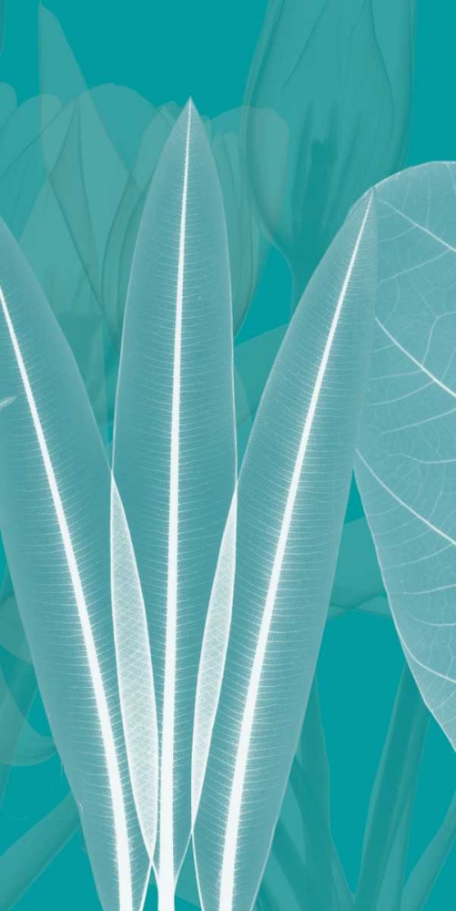 Teal art print by Albert Koetsier for $57.95 CAD