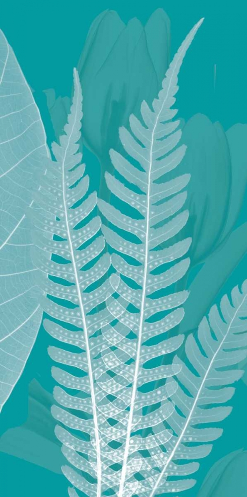 Teal art print by Albert Koetsier for $57.95 CAD