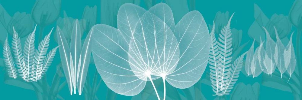 Teal art print by Albert Koetsier for $57.95 CAD